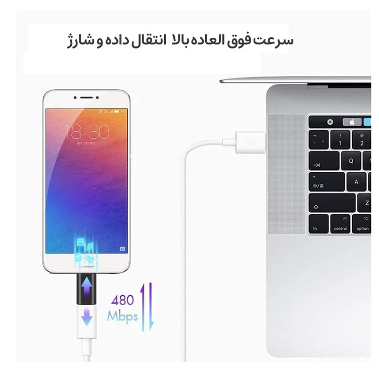 مبدل USB-C به MicroUSB مجنتیک مدل CM2